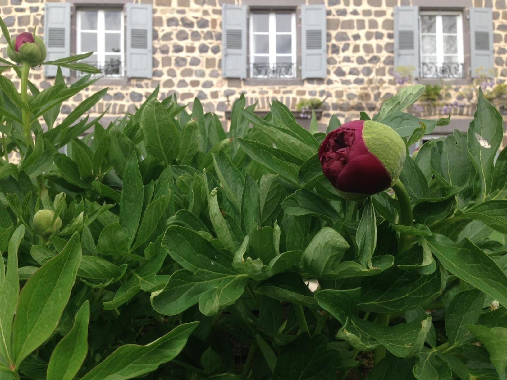 Les Jardins D'Anna - Chambres D'Hotes Tapon Bagian luar foto