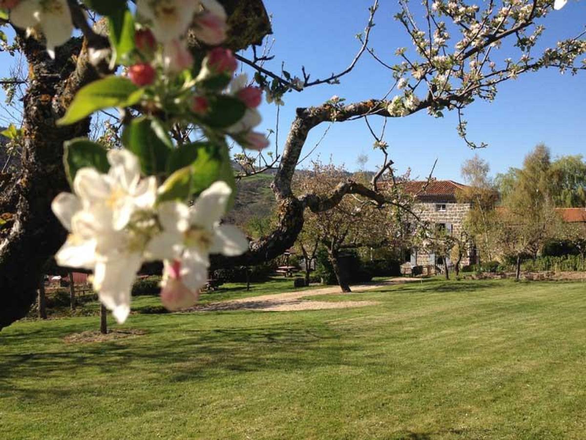 Les Jardins D'Anna - Chambres D'Hotes Tapon Bagian luar foto